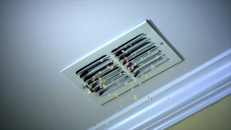 Best Residential Air Duct Cleaning  in Mountainhome, PA