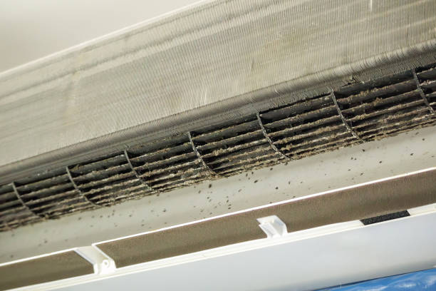 Best Local Air Duct Cleaning Services  in Mountainhome, PA